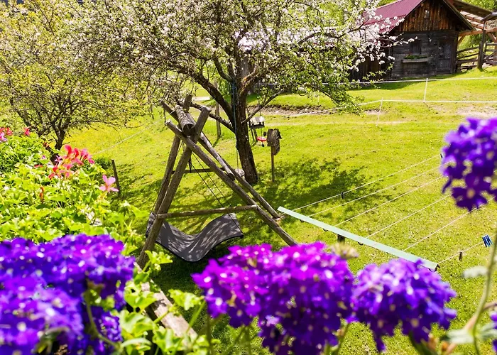 Bio Naturhof Ottingerhof