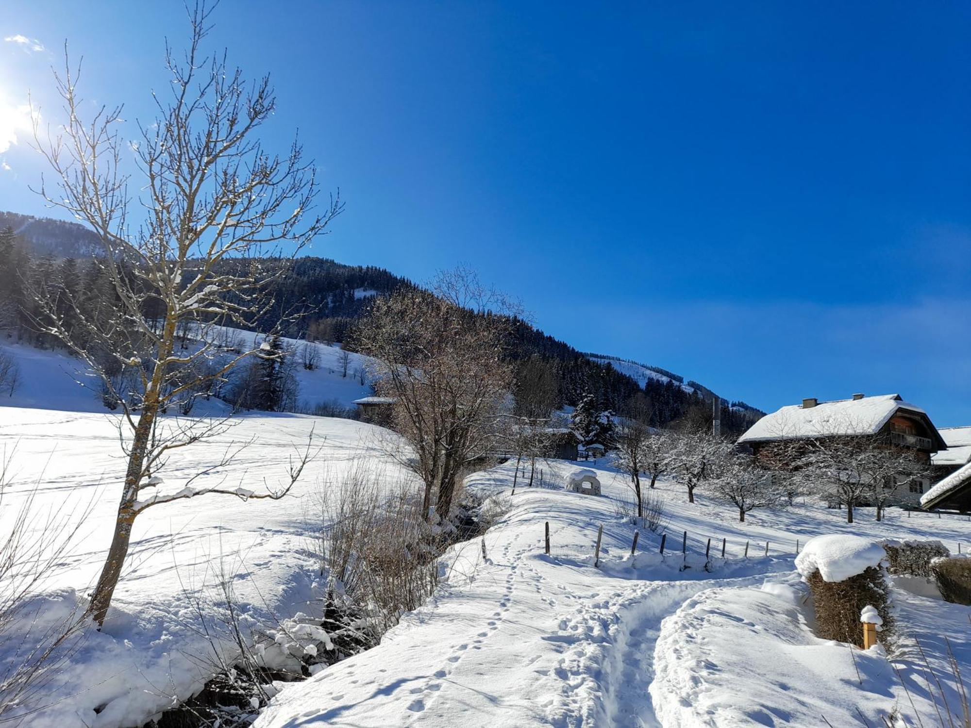 Bio Naturhof Ottingerhof * Bad Kleinkirchheim