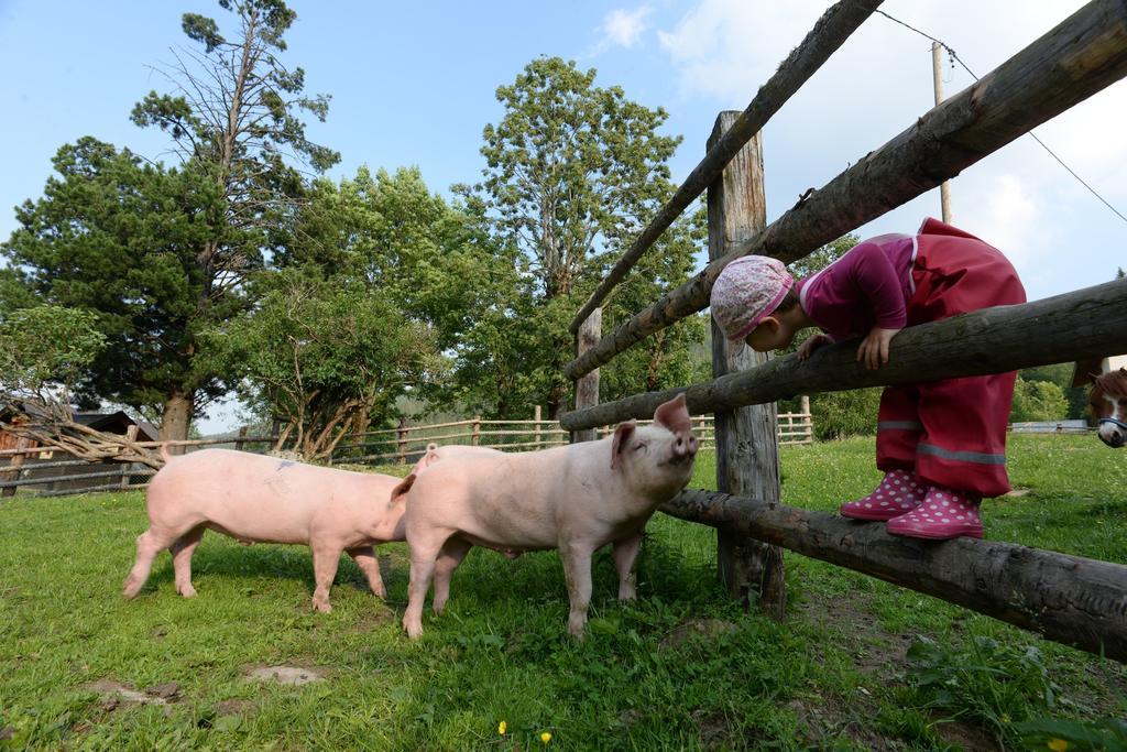Bio Naturhof Ottingerhof