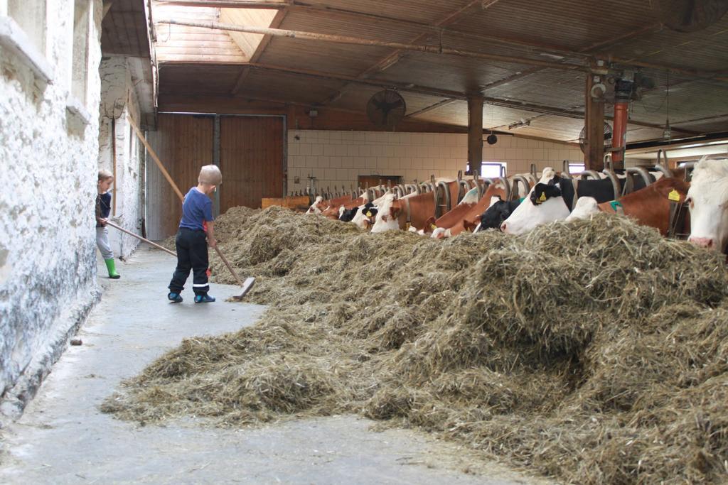 Bio Naturhof Ottingerhof Bad Kleinkirchheim