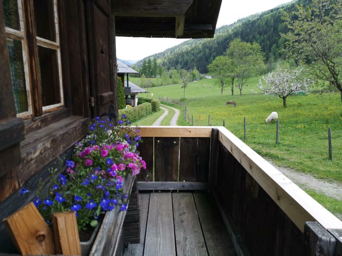 Apartment Bio Ferienbauernhof Ottingerhof Bad Kleinkirchheim